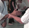 Push-Hands-Lehrgang für Tai-Chi-Prinzipien: Grabbing 4