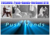 Abgrenzung Pushhands-Verband DTB Review Nils Klug, Tai-Chi-Studio Hannover, DDQT 