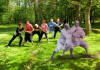 TUISHOU: Pushhands-Training in der Gruppe mit Altmeister Yang Chengfu (3. Generation Yang-Familien-Form)